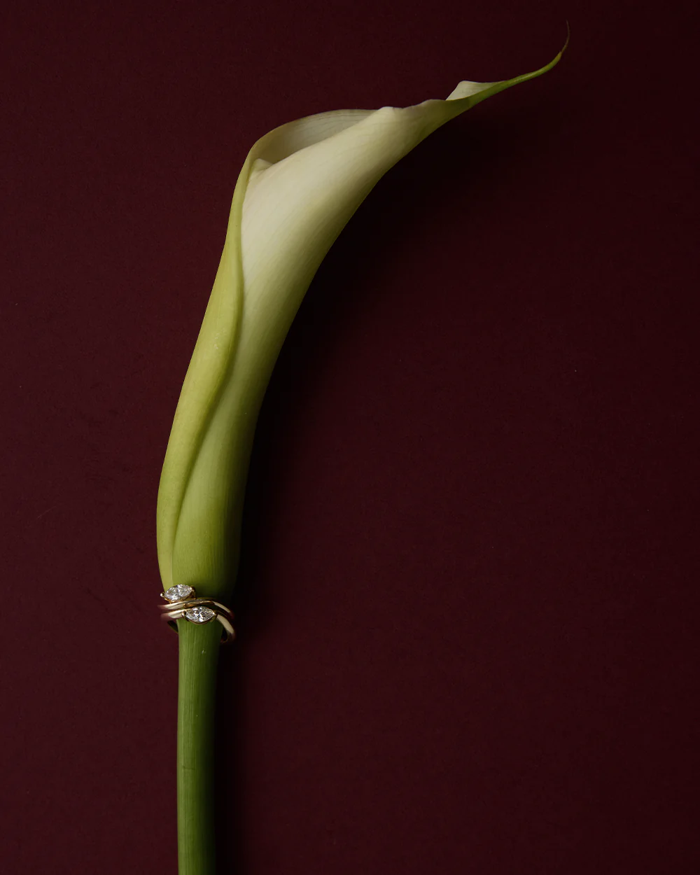 Astra Marquise Pinky Ring - Image 6