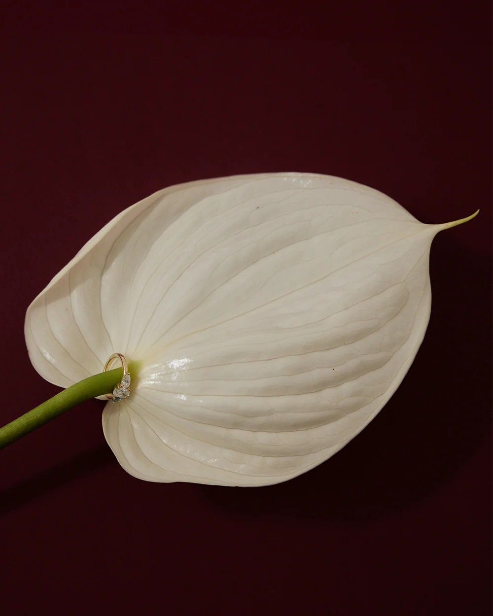 Iris Pinky Ring - Image 12